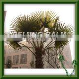 Artificial Palm Leaf,plastic Palm Frond,washingtonia Palm Leaf thumbnail-1