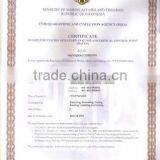 Gracilaria Seaweed With Good Quality thumbnail-5