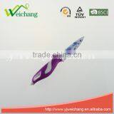 WCE568 5 Pcs Set Kitchen Knives Artwork Painting Blade PP+TPR Handle , Hot Sale, Wholesale thumbnail-6