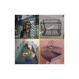 Chain Link Dog Kennel