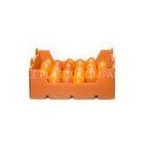 High Strength Stacking PP Twin Wall Tray For Packing , Polypropylene thumbnail-1