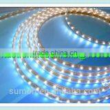 China Supplier SMD Holiday LED Lighting 110 220V 60leds/m Dmx Rgb Led Strip Light thumbnail-5