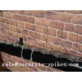 Bird Spikes thumbnail-2