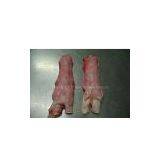 Beef Tendon thumbnail-1