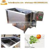 Industrial Ozone Vegetable Fruit Washer Cleaner Vegetable Washing and Drying Machine thumbnail-5