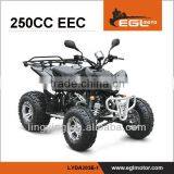 EEC ATV 250cc Cheap Chinese Atv thumbnail-1