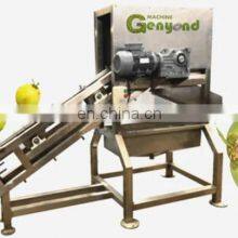 Green Coconut Old Coconut Half Juicer/cutting Equipment/coconut Processing Machine thumbnail-2
