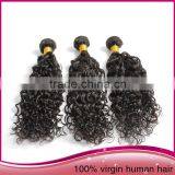 Tangle Free High Quality Unprocessed Brazilian Human Hair Afro Women Water Wave Hair Extension thumbnail-4