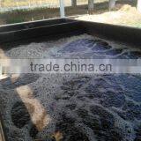 Integrated Wastewater Treatment Equipment thumbnail-6