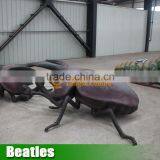 Insect Model Beatles for Sale thumbnail-2