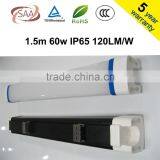 5ft 60w 120lm/w LED Tri Proof Light CE, ROHS TUV 5 Years Warranty
