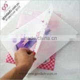 Factory Custom Clear Plastic Folder Sheet/pp File Holder Quality Choice