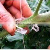 Plant Grafting Clip with Good Quality