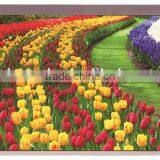 10.1 1280x800 80 View 250 Bright LVDS TFT Display