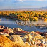 CS10 Modern Handmade Home Decoration Beautiful Scenery Wall Oil Painting thumbnail-1