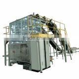 Secondary Bag in Bag Packing Machine