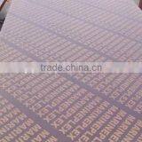 Shandong Plywood Manufacture thumbnail-5