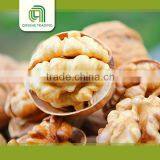 2014 crop raw light pieces walnut kernels