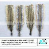 Dried blue whiting fish/needle fish fillet
