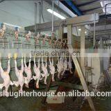 High Quality Chicken Slaughtering Production Line