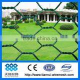Galvanized and Pvc Coated Hexagonal Chicken Wire Mesh (Since 1989,ISO) thumbnail-1