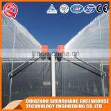 China Multifunction Plastic Greenhouse for Agricultural Farming thumbnail-5