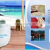 Outdoor Spa Water Treatment 300mg/h Bwt Balboa Spa Ozone Generator thumbnail-6