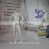 Wholesale Cheap Female Mannequin, Female Headless Mannequin Fow Window Display