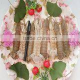 Claw Shrimp thumbnail-3