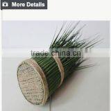 Hotsales Natural Cylinder Onion Grass for Garden Decoraction thumbnail-5