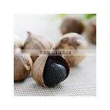 Fermentation Box Black Garlic Improves Lipids thumbnail-2