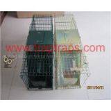 Hot Galvanizing Crab Cage Trap thumbnail-2