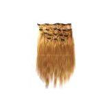 Clips In Human Hair Extensions