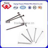 Price of Iron Nails thumbnail-1