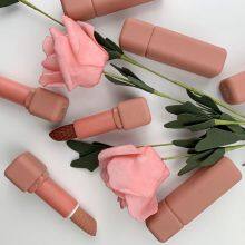 Custom Private Label Lipstick Solid Lip Stick Cosmetics Lipstick Cruelty Free Lipsticks in Your Logo thumbnail-2