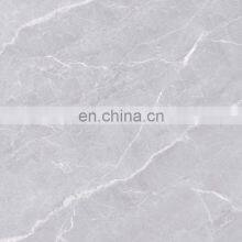 Персональные антискользящие серые керамические плитки для санузлов больниц JBR6109H thumbnail-2