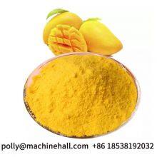 Grade A Mango Powder Manufacturer From China thumbnail-4