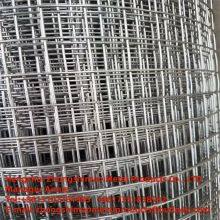STAINLESS STEEL WELDED MESH/FENCE FOR ANNIMAL/GALVANIZED-WELDED WIRE thumbnail-5