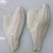 Sea Bass Fillet thumbnail-4