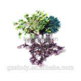 Hot Sell Nail Art Natural Dried Flowers for Nail Art Decoration,nail Accessory ZX:GH747 thumbnail-4