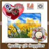 2015 Plastic Custom 3D Effect Pictures Dinning Table Mat for Wholesale thumbnail-5