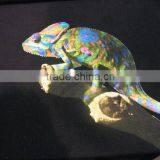 Power-Jet Handheld Inkjet Printer a3 for T-shirt Garment thumbnail-6