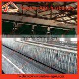 Chicken Use Welded Wire Chicken Layer Cages Rabbit Cage in Kenya Farm thumbnail-3