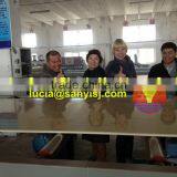 Wood Plastic Extruder Machine for WPC Foam Board Production Line thumbnail-3
