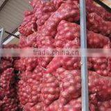 Low Price Fresh Yellow and Red Onion thumbnail-2