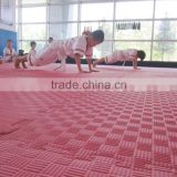 High quality fitness center anti-slip foam floor mats for taekwondo