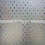 Acid Etched Frosted Glass Door