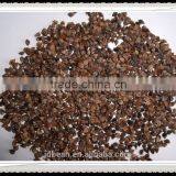 Buckwheat Market Price thumbnail-4