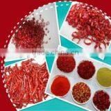 2012 New Crop Chinese Red Chilli Round Ring Circle thumbnail-1