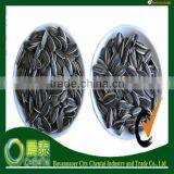 China Low Price 6009(24/64)Sunflower Seed Products